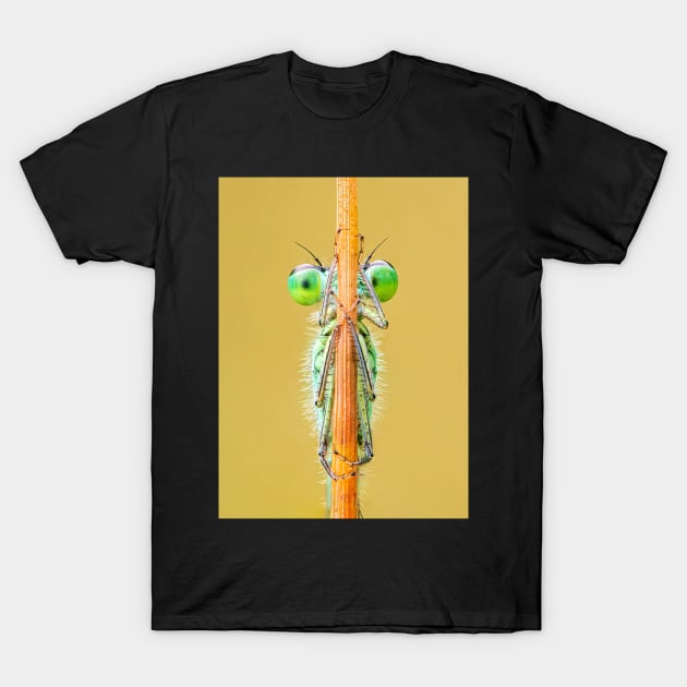 Blue-tailed Damselfly Close-up on a Rush Stalk T-Shirt by TonyNorth